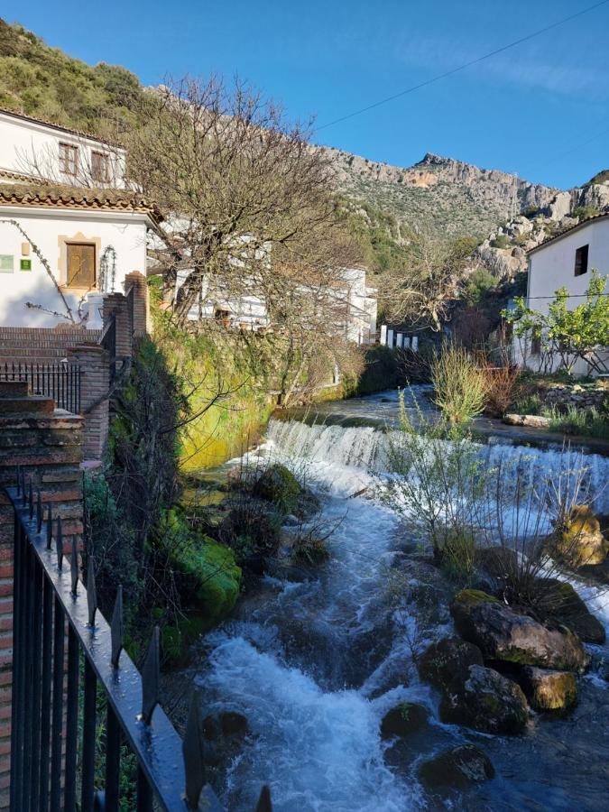 Molino Del Santo Hotell Benaoján Exteriör bild